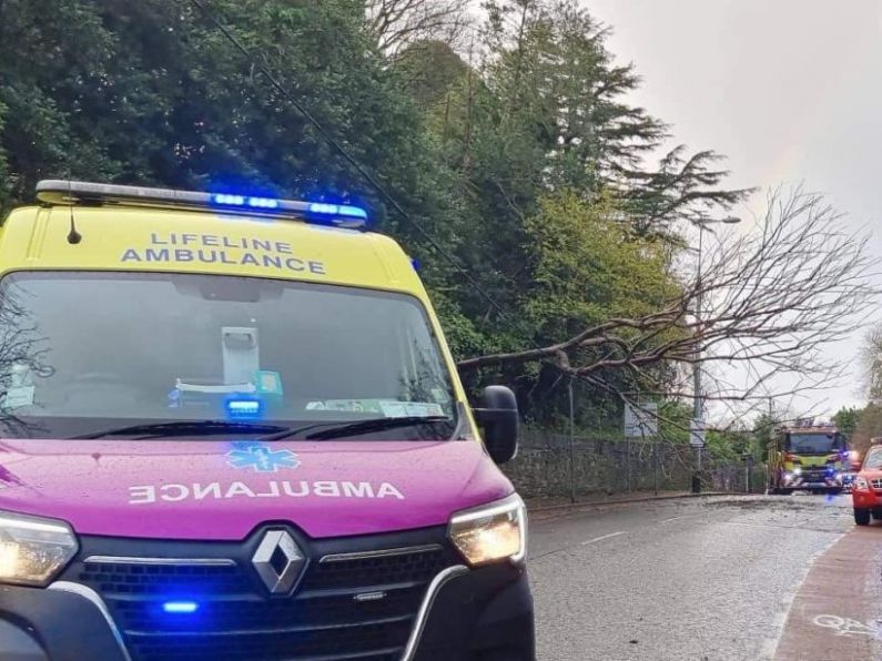 Storm Barra: Electricity outages to homes and businesses in Waterford