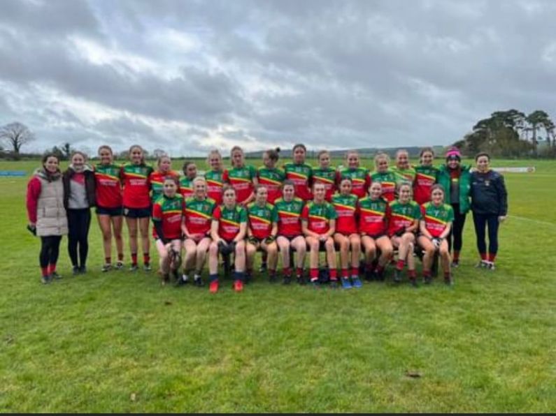 Comeragh Rangers one point short in plate final