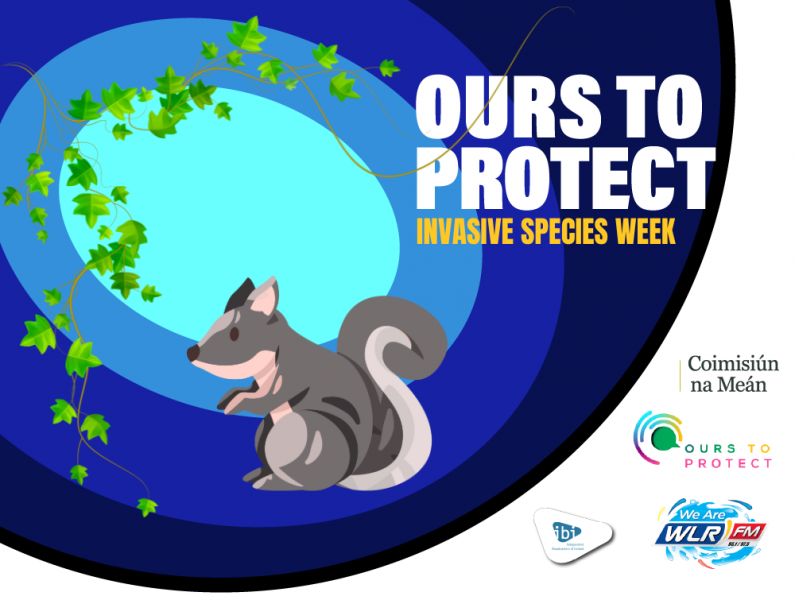 Ours To Protect 50 - Invasive Species Week