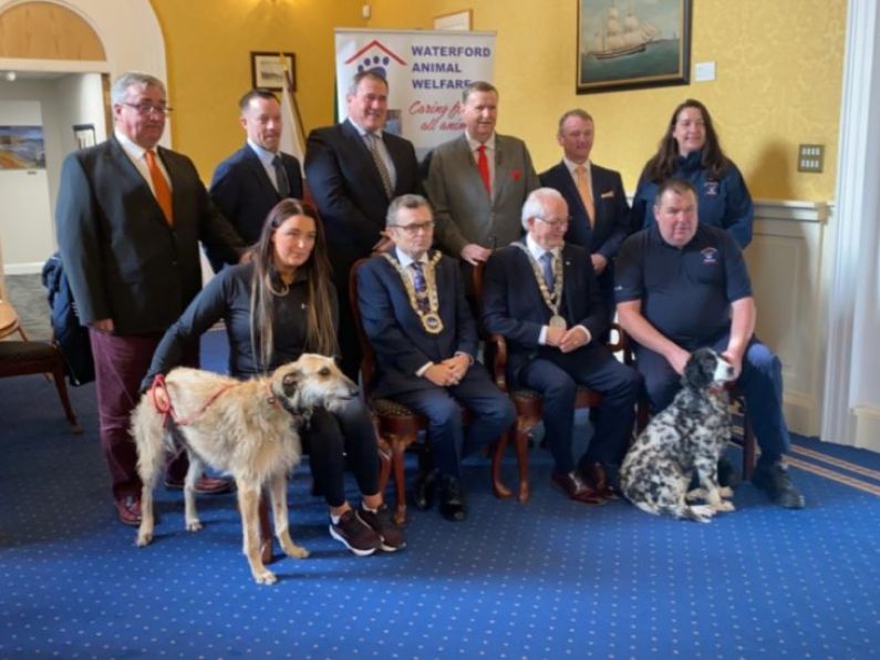 Mayor's Ball 2022 is launched in Waterford