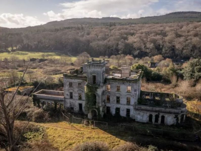 Derelict house in Portlaw to be converted into luxury hotel