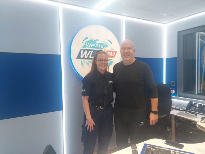 ISPCA Animal Welfare Inspector Alice Lacey chats to Damien...