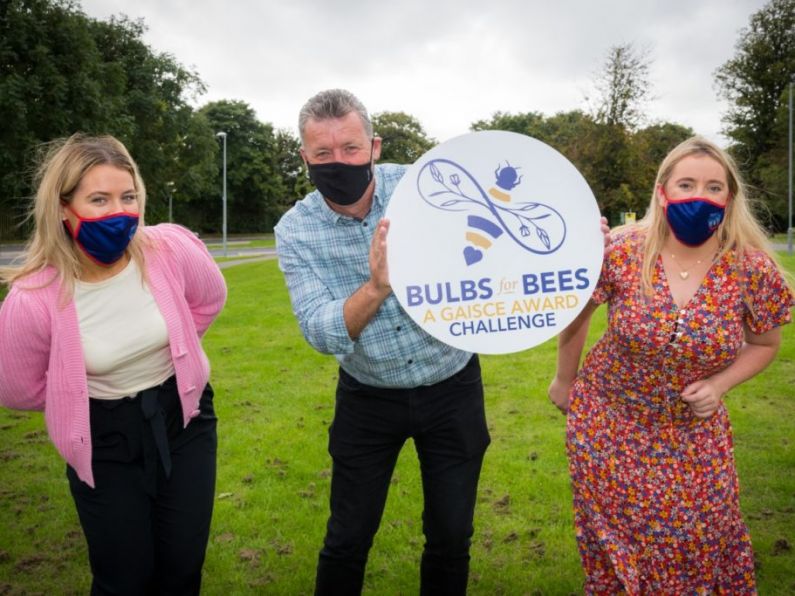 People in Waterford encouraged to partake in #BulbsForBees campaign