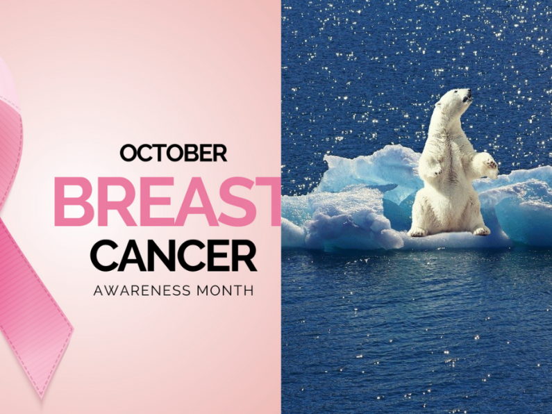 Sat Cafe Oct 2nd: Maria discussed a breast cancer webinar, & a UN climate change conference