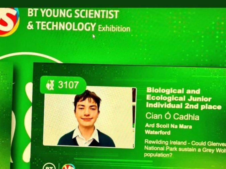 Listen: First year student from Tramore wins award at BT Young Scientist Exhibition