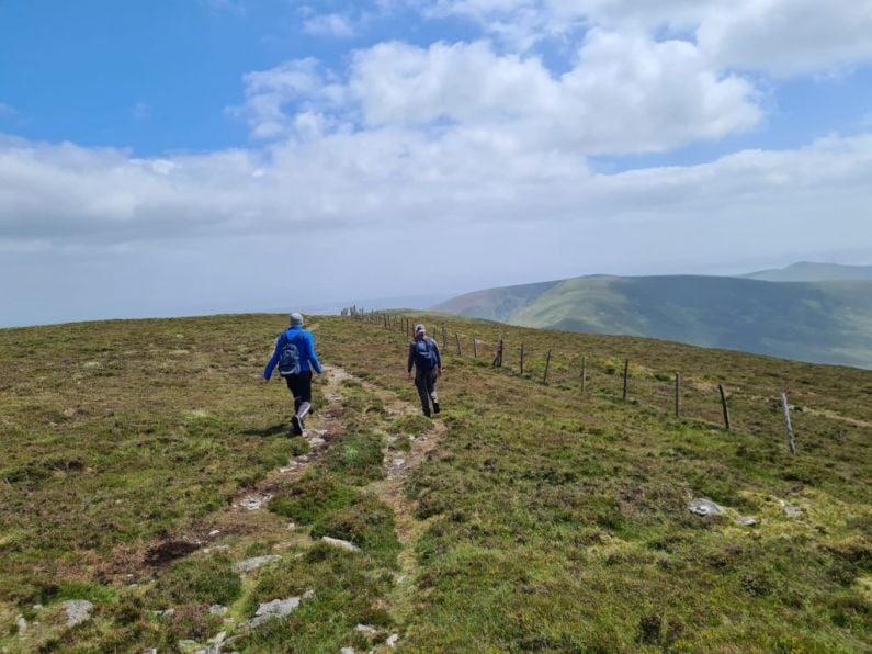 Multiple walks raise much needed funds for charities in Waterford