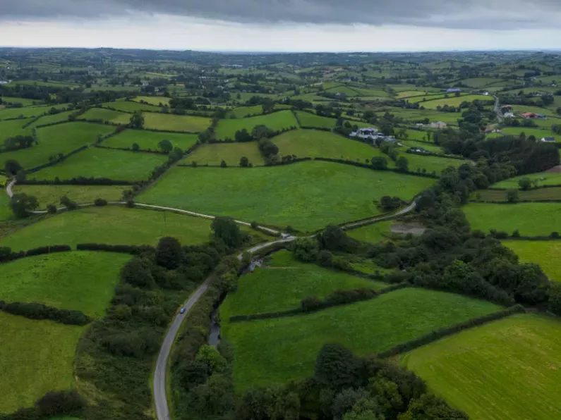 Cost of agricultural land to increase by 8% this year, survey suggests