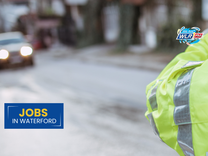 Jobs In Waterford - Safety Wardens & Project Officer