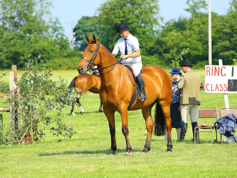 The Dungarvan Agricultural Show Returns For The 104th Year