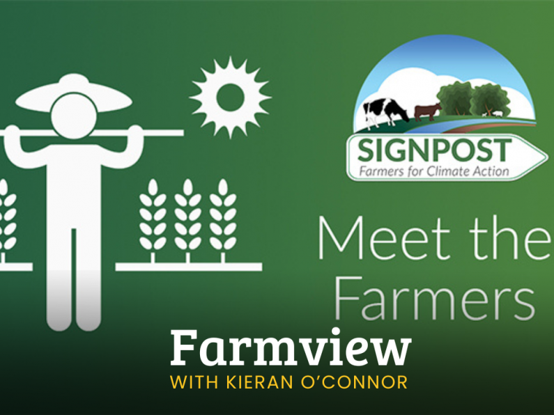 Listen Back: Farmview Oct 31st, 2024