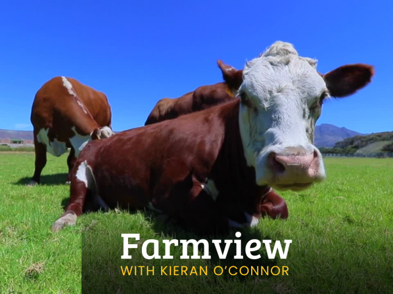 Listen Back: Farmview Aug 22nd, 2024