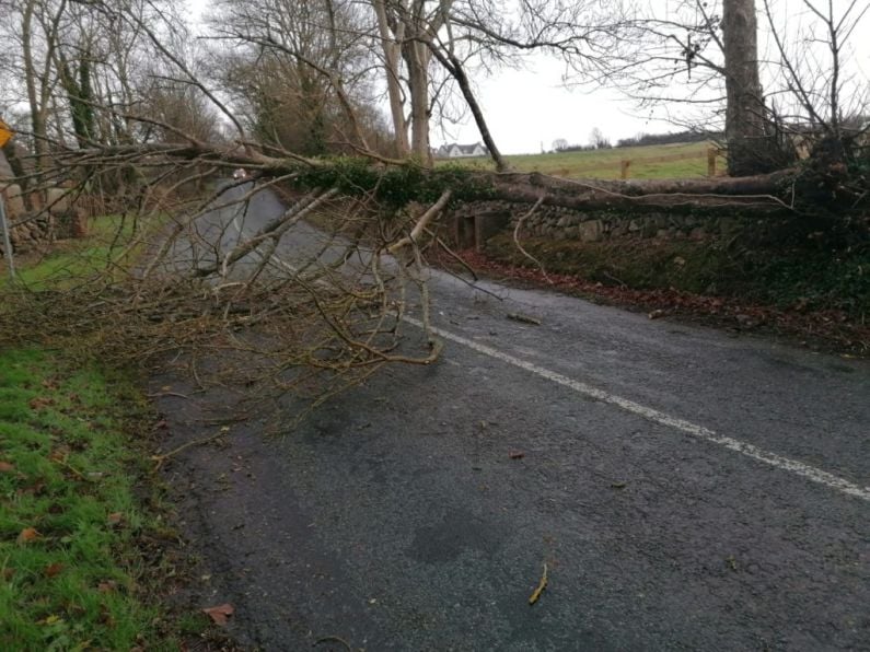 Storm Franklin brings strong winds and damaging gusts