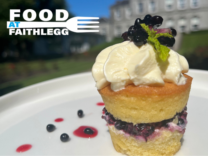 Food At Faithlegg - Blackberry And Lemon Polenta Cake