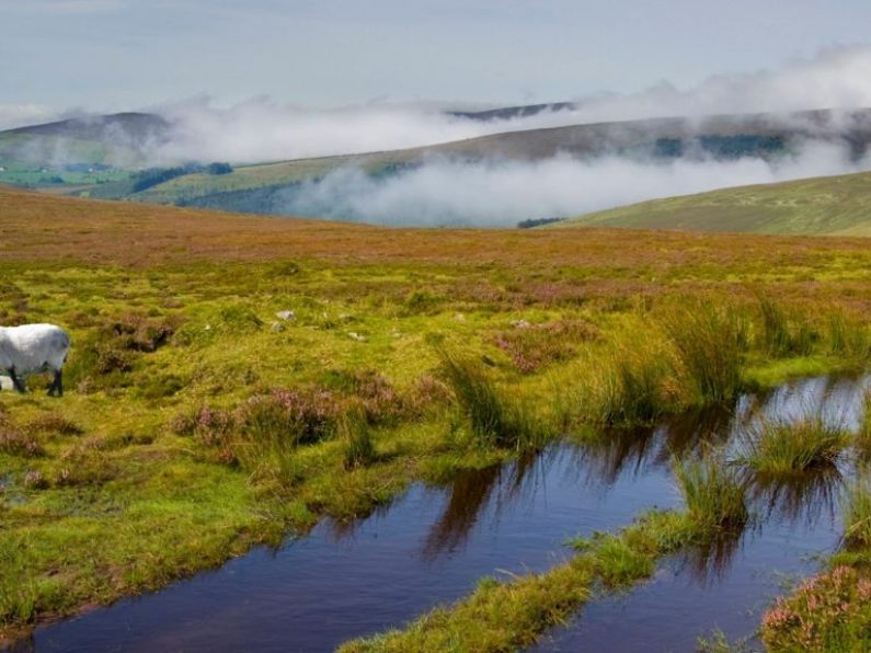 Woman dies after becoming unwell on Galtee Mountains