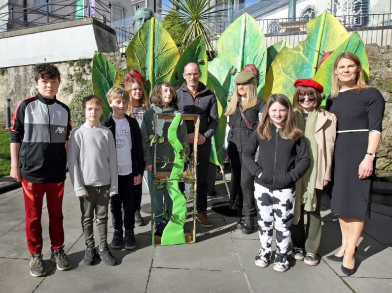 Biodiversity Garden coming to Theatre Royal Waterford