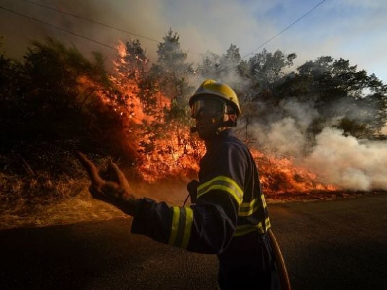 Europe experienced hottest year on record in 2020, climate report shows