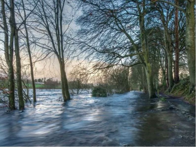 'Clear evidence' humans are impacting Ireland's climate, research finds