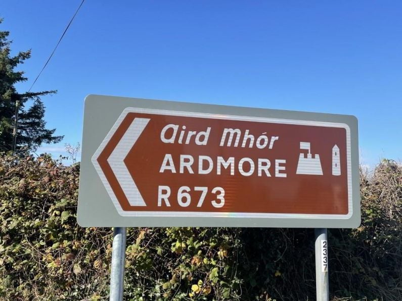 TII 'not consulted' on dangerous Ardmore school bus stop