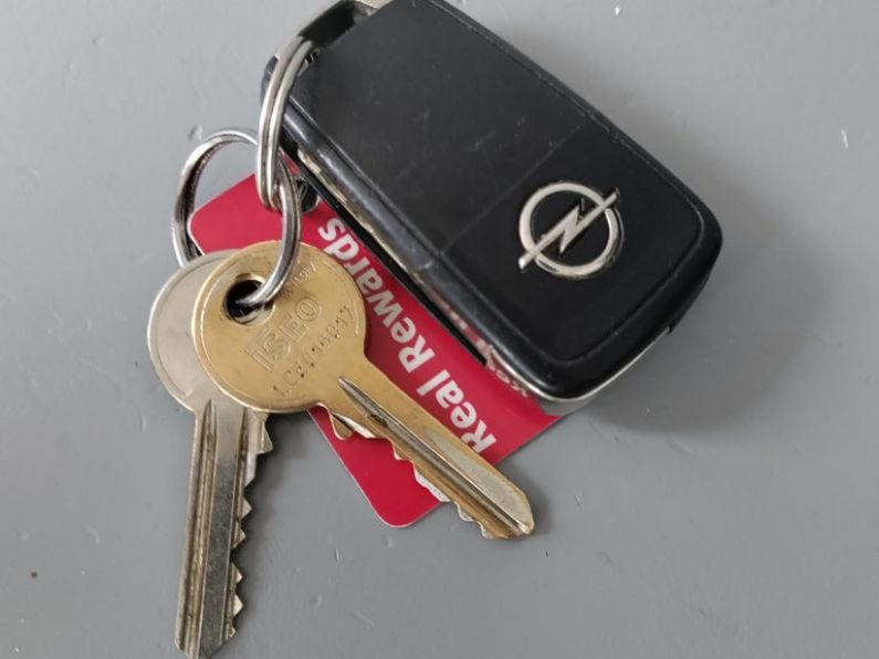 Found: Car and house keys (in photo) around the Hillview area