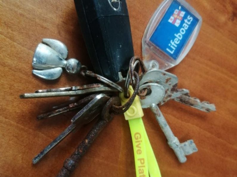 Found: Set of keys (shown in photo) on the Greenway