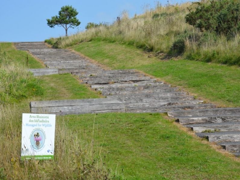 Green Flags and a Pollinator award for Waterford parks