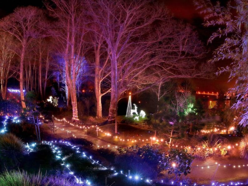 The Enchanted Garden opens for the Christmas season from Thursday