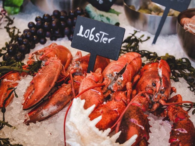 €40,000 worth of lobster and crayfish stolen from local business