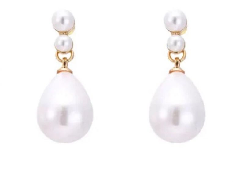 Lost: Pair of pearl earrings and a silver watch in a brown envelope