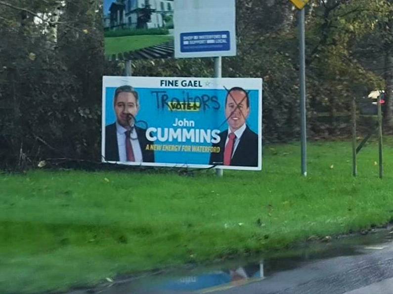 Fine Gael Senator disappointed by further vandalism to election posters