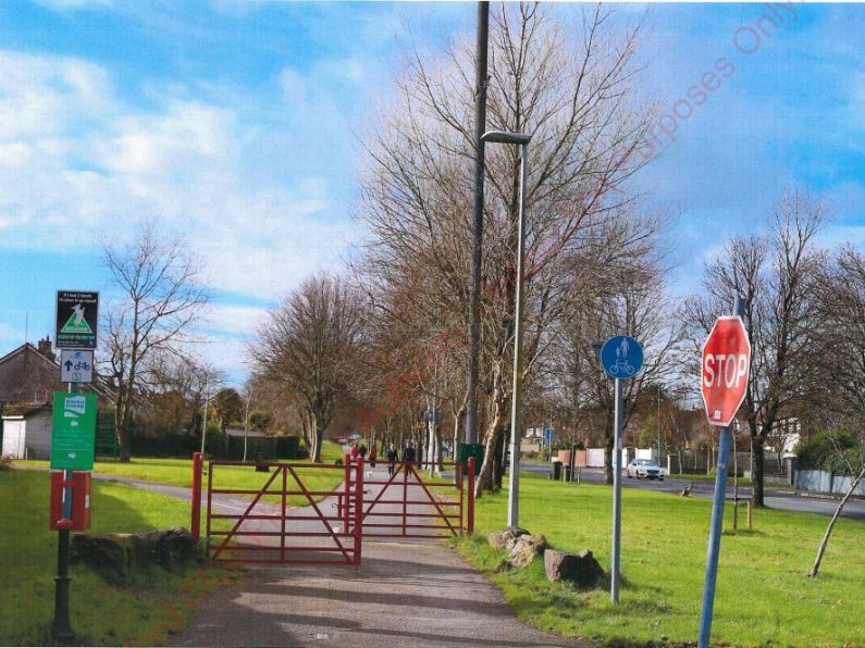 Concern over plans for 18m pole in residential County Waterford area