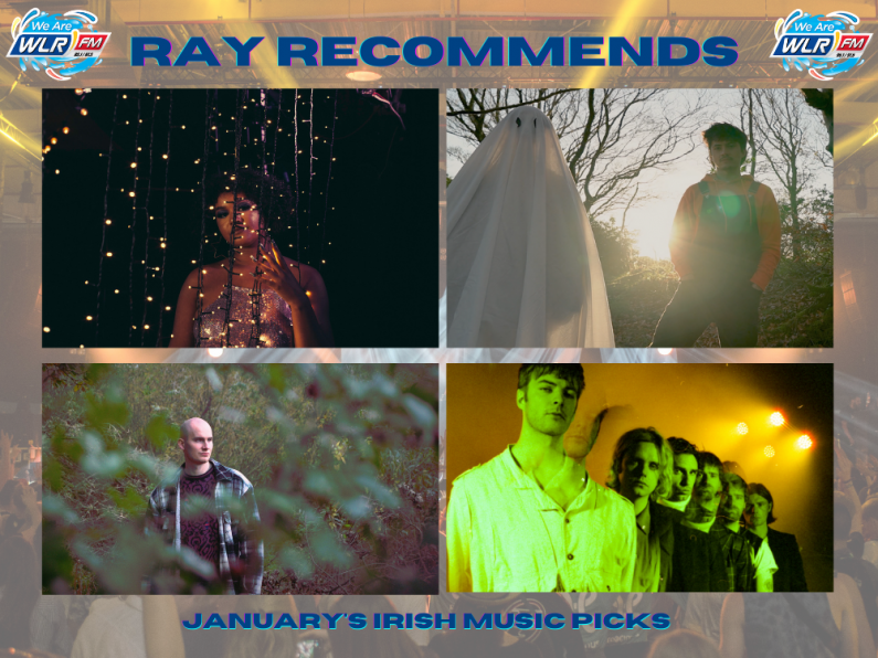 Ray Recommends: January's Irish music picks from The Shift