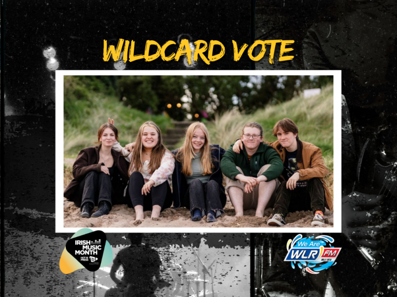 Vote For Waterford Band Washed Out As The Wildcard Of A New Local Hero