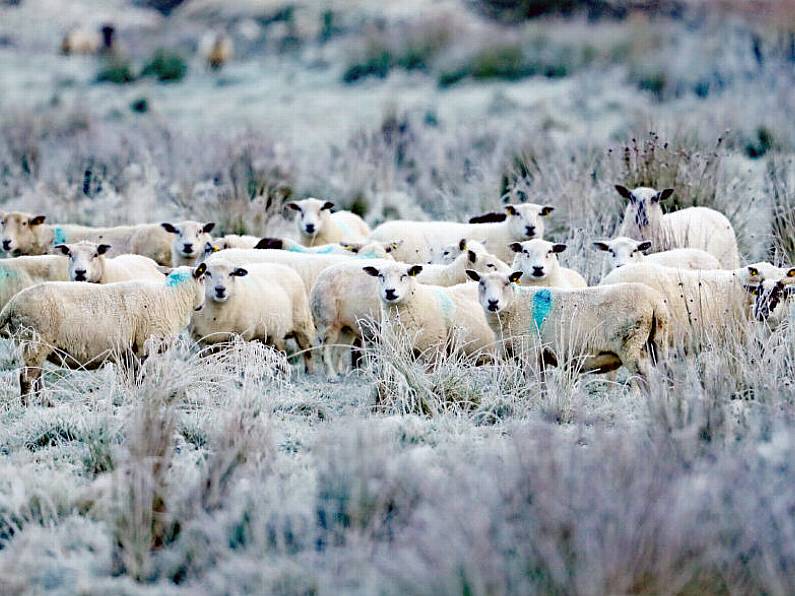 Status Orange warning for snow and ice issued for Waterford