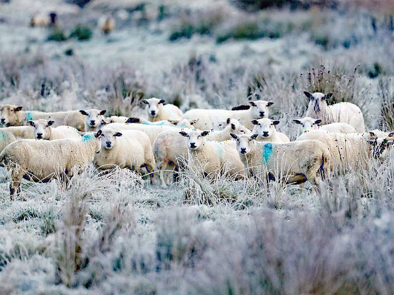 Status yellow ice warning issued as temperatures to drop in Waterford