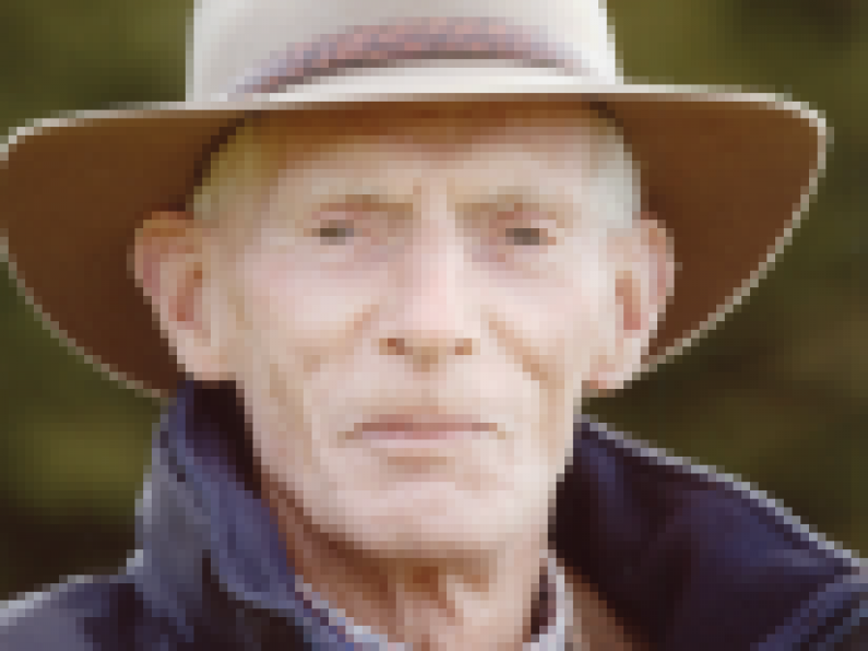 Joe Malone, Belline Farm, Piltown, Kilkenny