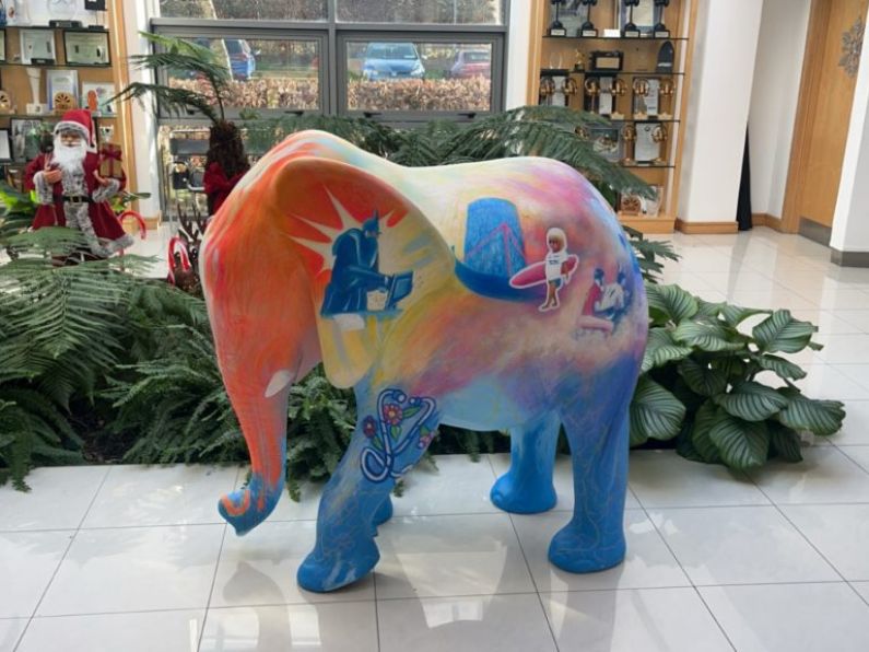 Waterford proudly launches the Elephant in the Room Mental Health Initiative
