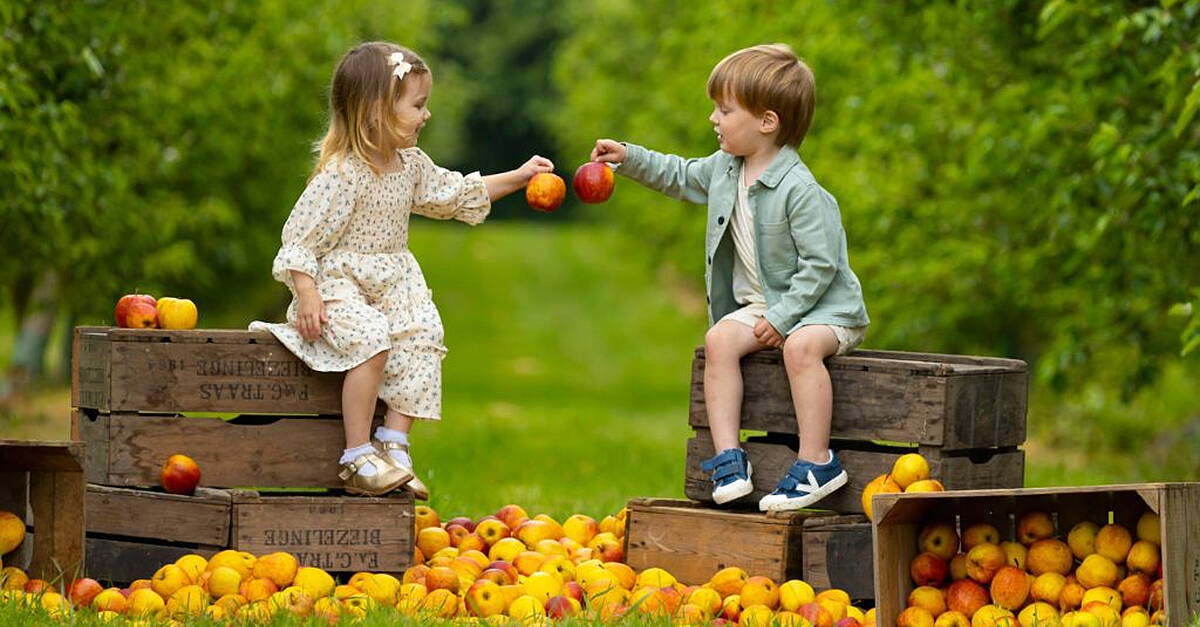 Preparations underway for Waterford Harvest Festival - Vimarsana News