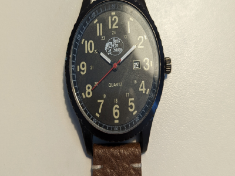 Found: Black & Brown watch found