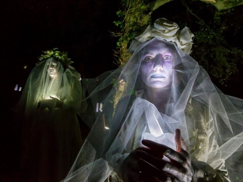 Spraoi's "Wicked Woods" cancelled for tonight (Wednesday) due to weather