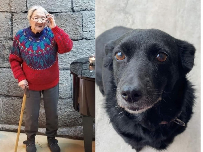 Hear how an 86 year old Ukrainian woman was reunited with her dog