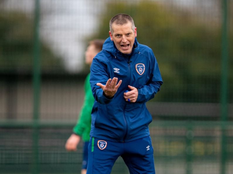 Three Waterford players in squad for upcoming Euro qualifiers