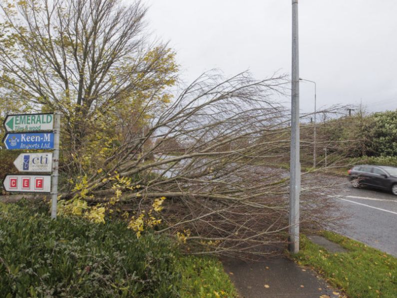 Storm Debi: Clean-up operation underway with 60,000 homes without power