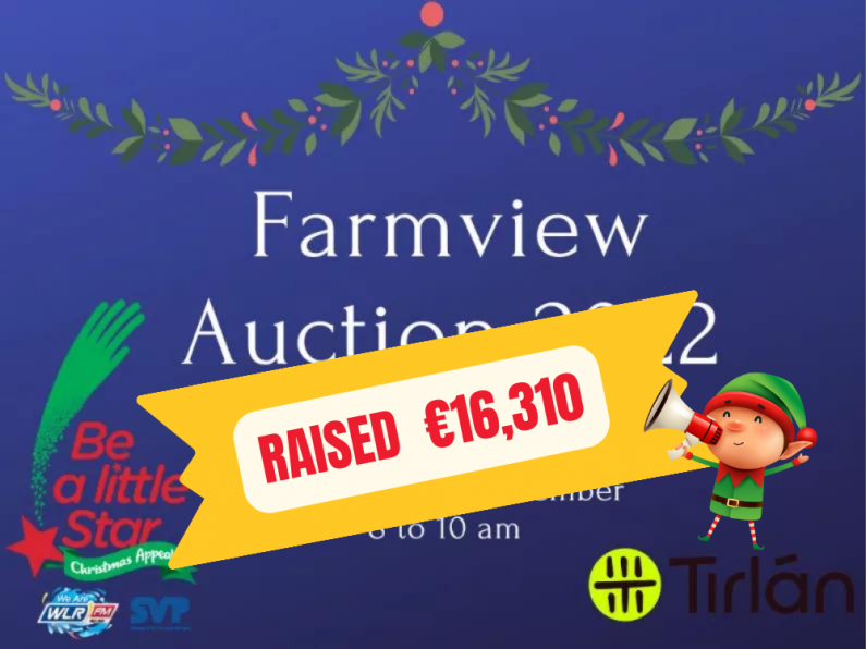 Farmview Auction in aid of the WLR Christmas Appeal Saturday December 17th
