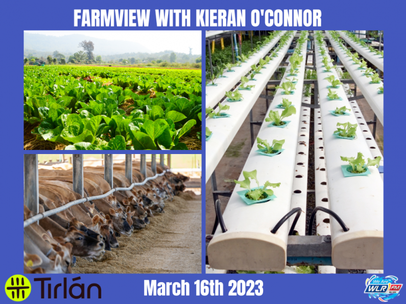 Listen Back: Farmview March 19th 2023
