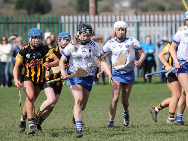 "We knew there was massive potential" Mark English on Déise minor camogie team