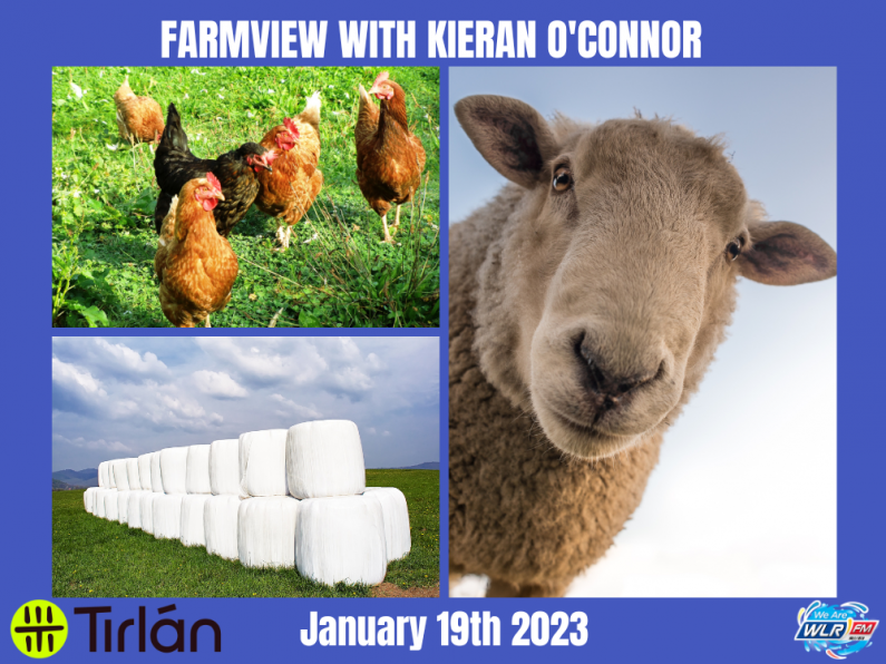 Listen Back: Farmview January 19th 2023