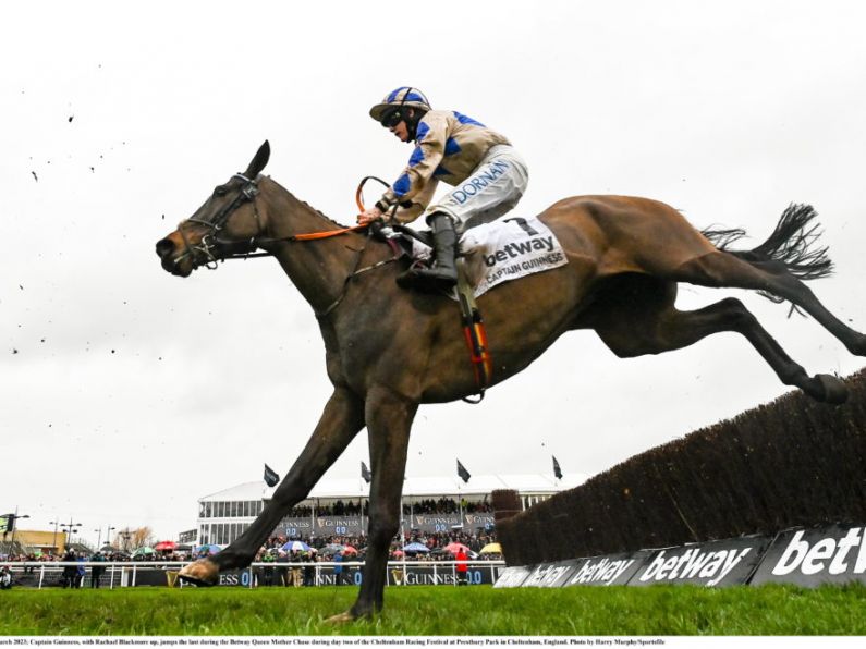 Captain Guinness wins the Champion Chase in dramatic fashion