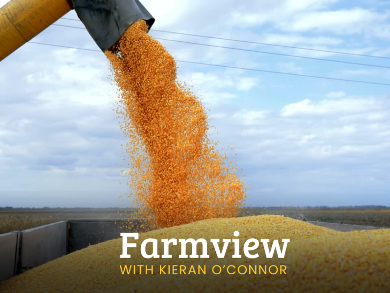 Listen Back: Farmview Oct 24th, 2024