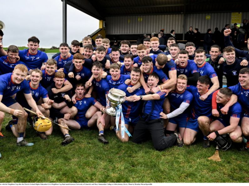 Fitzgibbon Cup success for Waterford duo