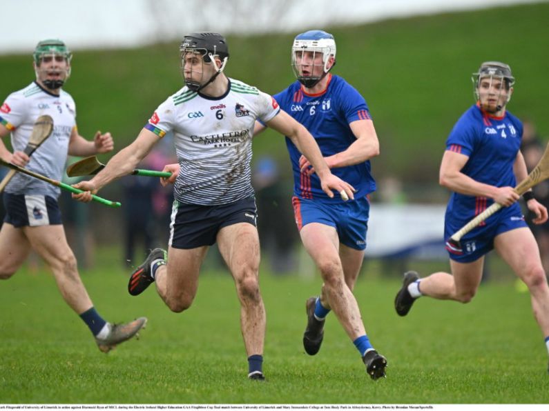 Fitzgerald and Halloran make Fitzgibbon Cup Team of the Year